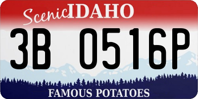 ID license plate 3B0516P