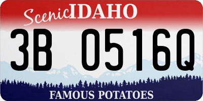ID license plate 3B0516Q