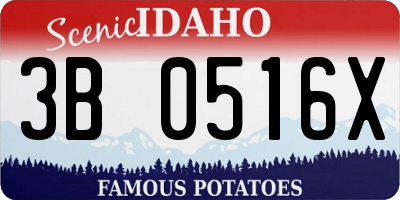 ID license plate 3B0516X