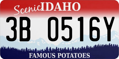ID license plate 3B0516Y