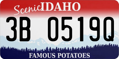 ID license plate 3B0519Q