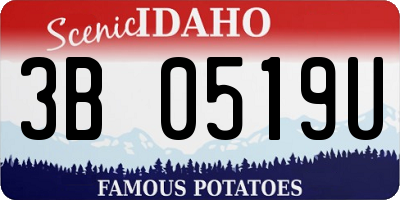 ID license plate 3B0519U