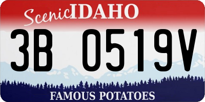 ID license plate 3B0519V