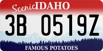 ID license plate 3B0519Z