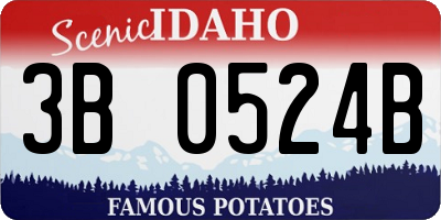 ID license plate 3B0524B