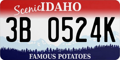ID license plate 3B0524K