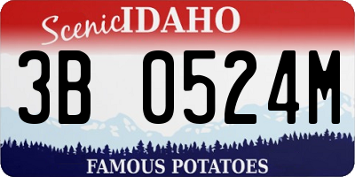 ID license plate 3B0524M