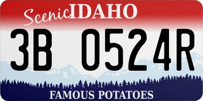 ID license plate 3B0524R