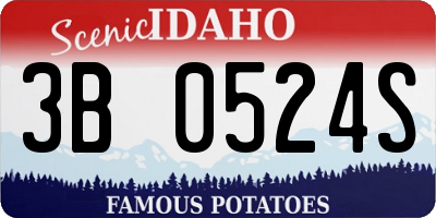 ID license plate 3B0524S