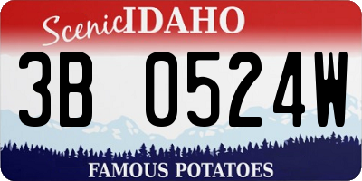 ID license plate 3B0524W