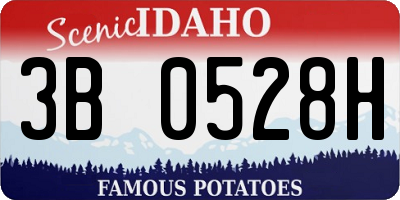 ID license plate 3B0528H