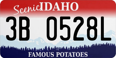 ID license plate 3B0528L