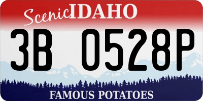 ID license plate 3B0528P
