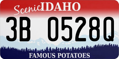 ID license plate 3B0528Q