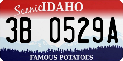 ID license plate 3B0529A
