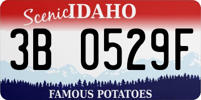 ID license plate 3B0529F