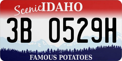 ID license plate 3B0529H
