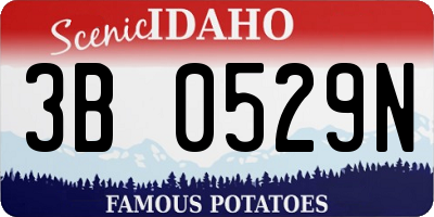 ID license plate 3B0529N