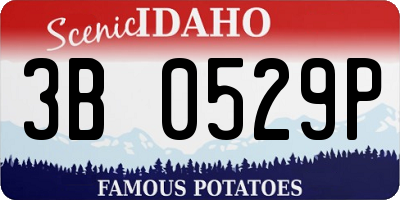 ID license plate 3B0529P