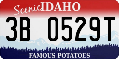 ID license plate 3B0529T