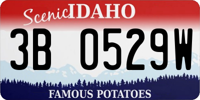 ID license plate 3B0529W