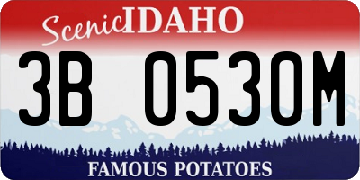 ID license plate 3B0530M