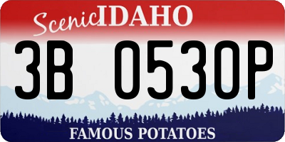 ID license plate 3B0530P