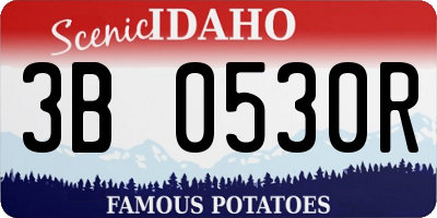 ID license plate 3B0530R