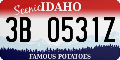 ID license plate 3B0531Z