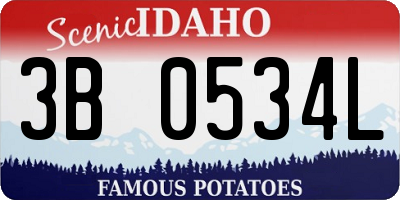 ID license plate 3B0534L