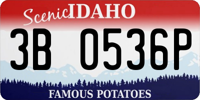 ID license plate 3B0536P