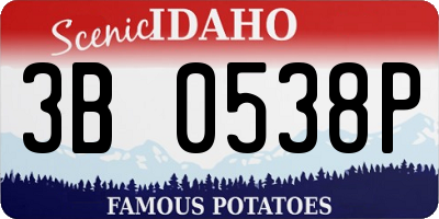 ID license plate 3B0538P