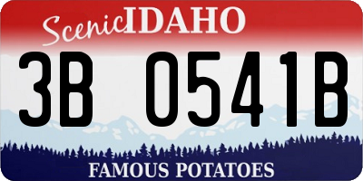 ID license plate 3B0541B