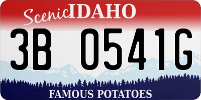 ID license plate 3B0541G