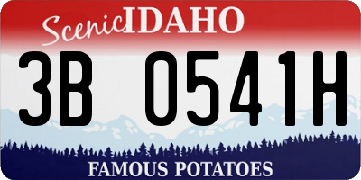 ID license plate 3B0541H