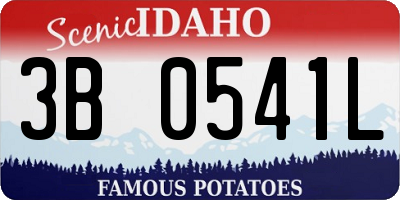 ID license plate 3B0541L