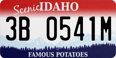 ID license plate 3B0541M