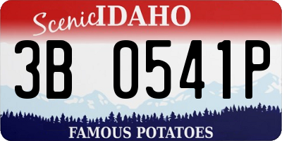 ID license plate 3B0541P
