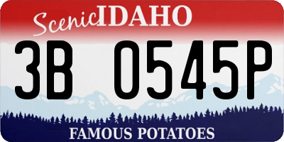 ID license plate 3B0545P
