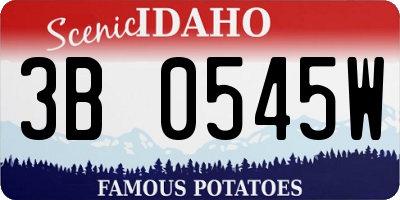 ID license plate 3B0545W