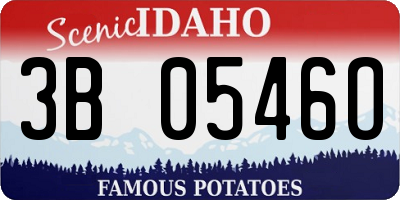 ID license plate 3B0546O