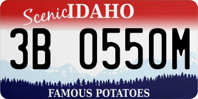 ID license plate 3B0550M
