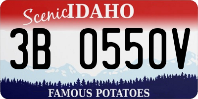 ID license plate 3B0550V