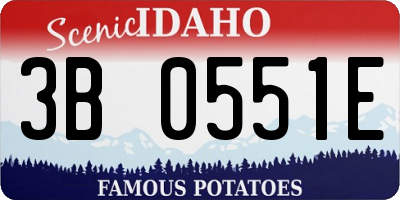 ID license plate 3B0551E