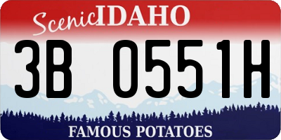 ID license plate 3B0551H