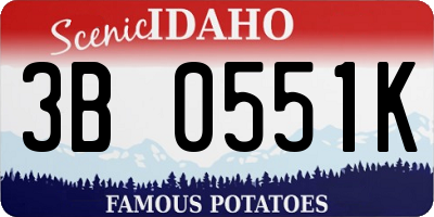 ID license plate 3B0551K