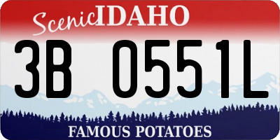 ID license plate 3B0551L