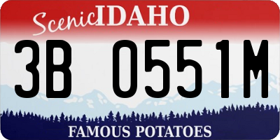 ID license plate 3B0551M