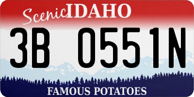 ID license plate 3B0551N