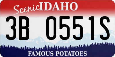 ID license plate 3B0551S